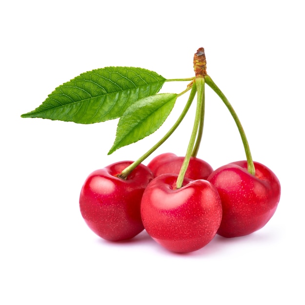 Sweet cherry fruits isolated on white