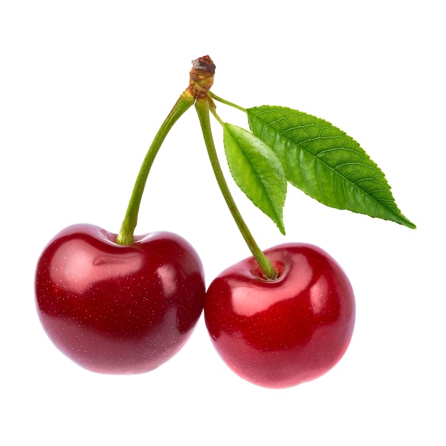 Sweet cherry fruits isolated on white