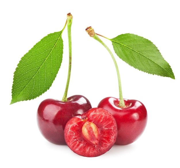 Sweet cherry isolated on white background