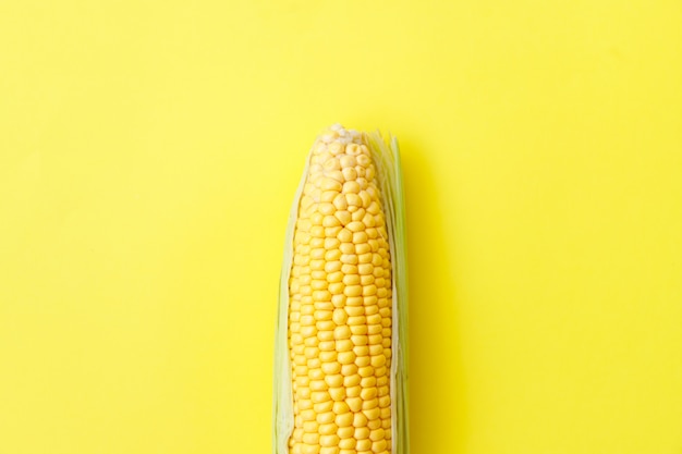 Sweet corn isolated on yellow background