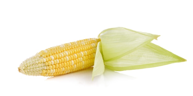 Sweet corn on white background