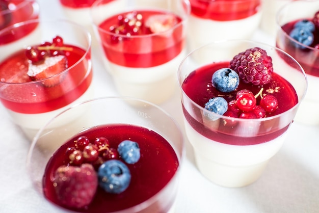 Sweet creamy dessert pannacotta with blueberries and currants