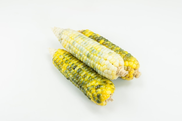 Sweet and delicious little corn on white background