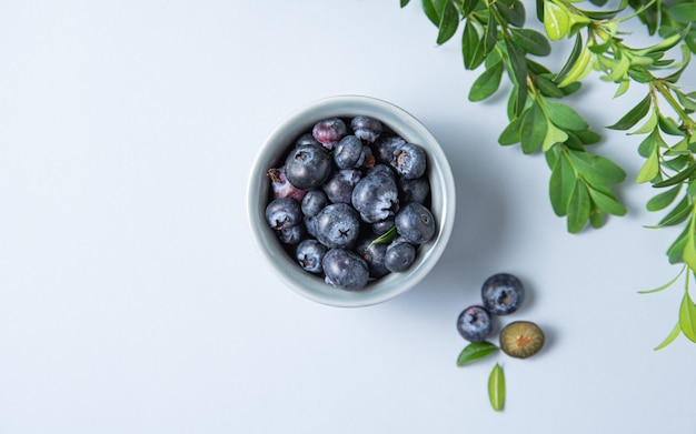 Sweet fresh blueberries in a bowl with a green branch on a blue background. Top view and copy space image