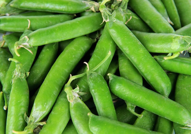 Sweet green peas closeup