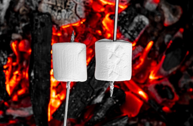 Sweet and hot marshmallows on stick over the bonfire