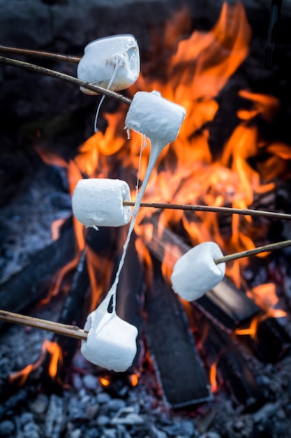 Sweet and hot marshmallows on stick and bonfire