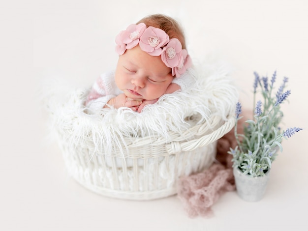 Sweet newborn in basket