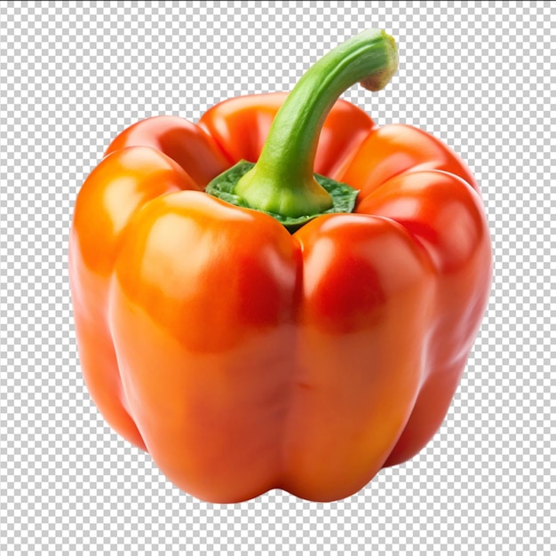 Sweet pepper