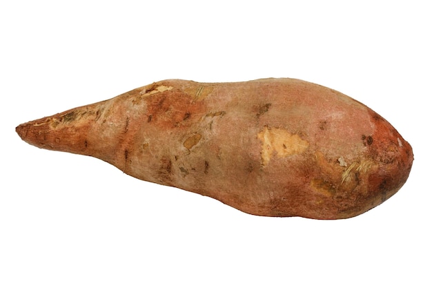 Sweet potato without background Ripe camote