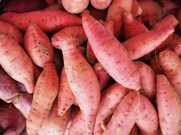  sweet potato