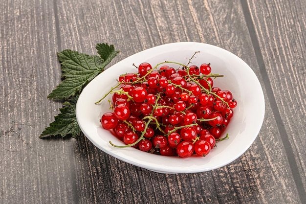 Sweet ripe red currant berries