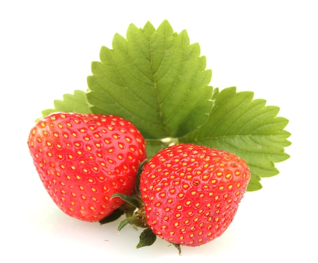 Sweet ripe strawberries with leaves isolated on white