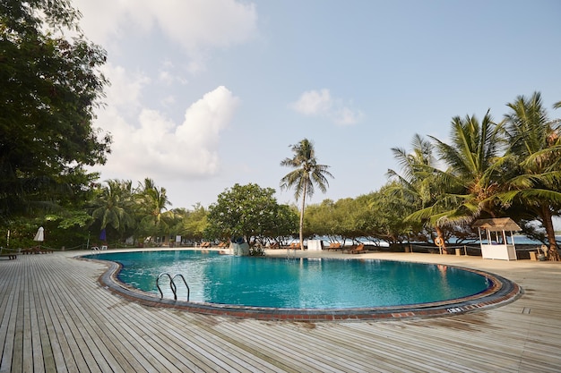 Swimming pool side of luxury hotel ith deck chairs palm trees and blue ocean Maldives