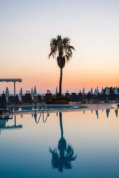 Swimming pool with palm trees at sunset. water reflection