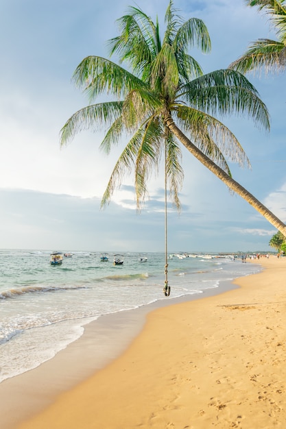 Swing or bungee hanging on a palm tree on the beach against the background of the ocean and boats at sunset, Sri Lanka