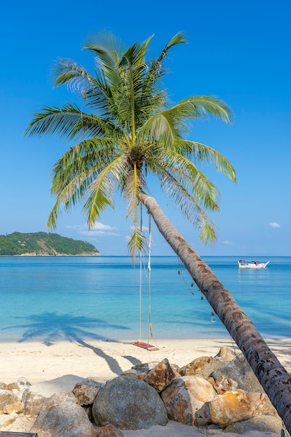 Swing hang from coconut palm tree over sand beach near blue sea water in island Koh Phangan, Thailand. Summer, travel, vacation and holiday concept