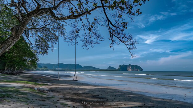 Swing hanging on the tree on the beach at Koh Samui Thailand