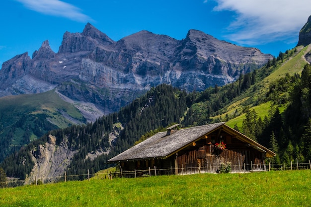 Swiss alps landscape