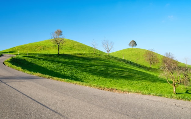 The Swiss countryside Tree on top of the hill Fields and pastures Agricultural landscape in summer time High resolution photo