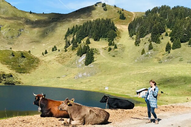 Swiss mountains