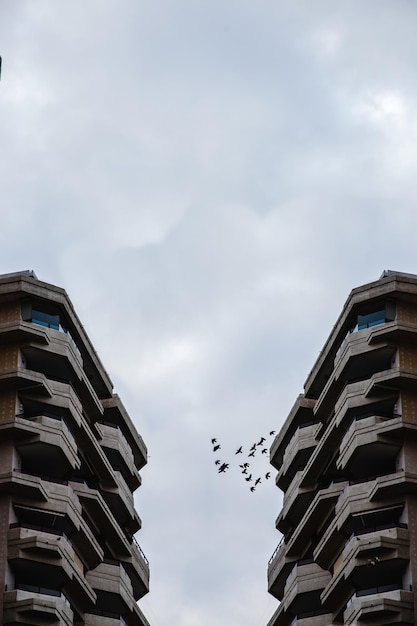 Symmetrical buildings with flock of birds