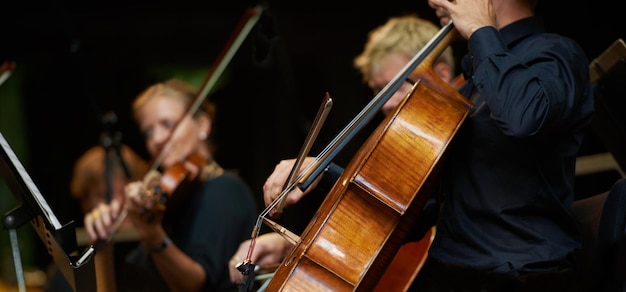 Symphony sounds Cropped shot of musicians during an orchestral concert