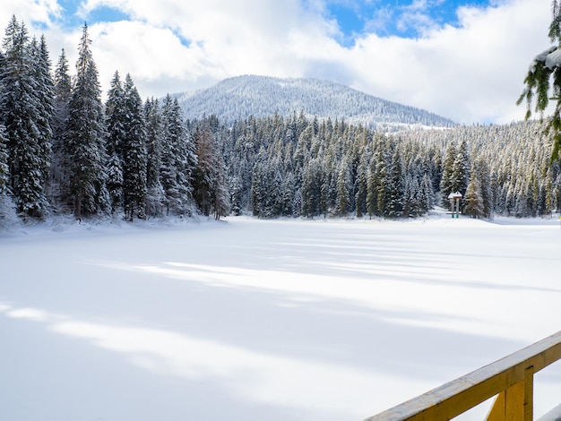 Synevyr against the background of a forest in the Carpathians in winter