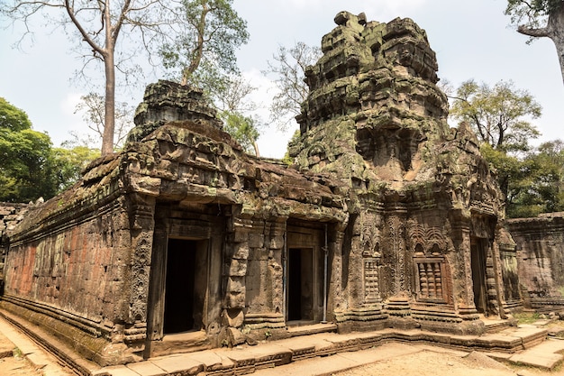 Ta Prohm temple ruins in Angkor Wat in Siem Reap, Cambodia