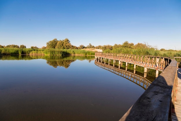 Tablas de Daimiel National Park Spain