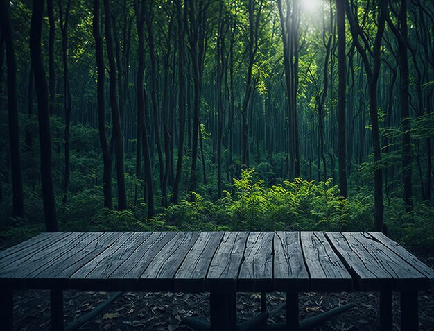 A table in a forest with the sun shining on it