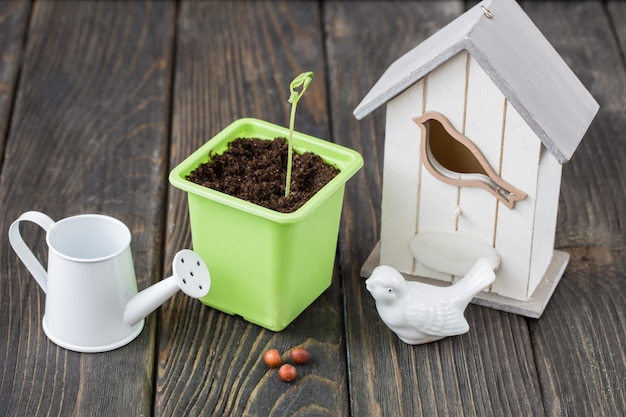 on the table is a sprouted seed in a flowerpot a watering can and a birdhouse with a bird