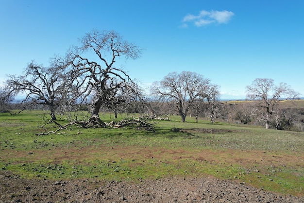 Table mountain Oroville California