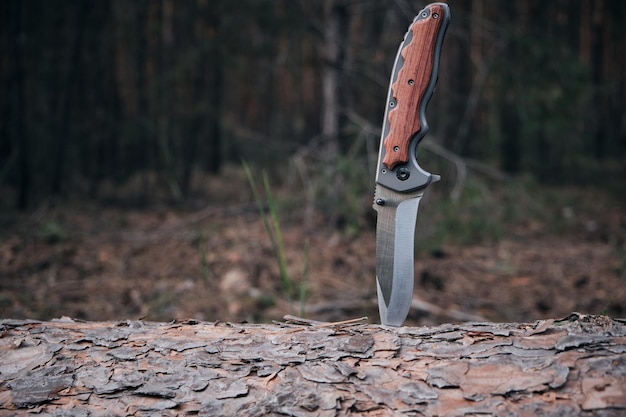 Tactical knife for survival and protection difficult conditions stuck into trunk tree in forest