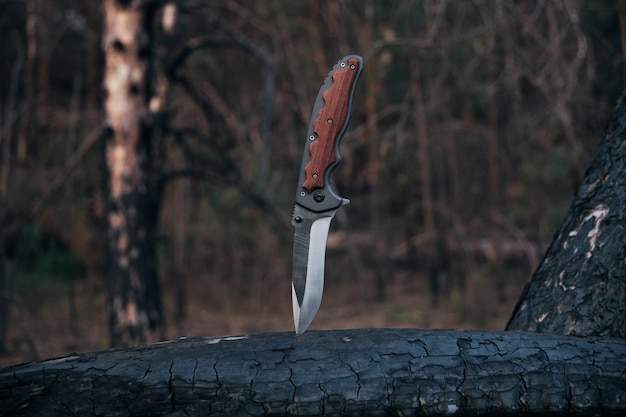 Tactical knife for survival and protection difficult conditions stuck into trunk tree in forest