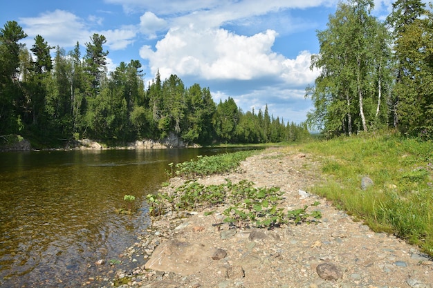 Taiga river in the Northern Urals