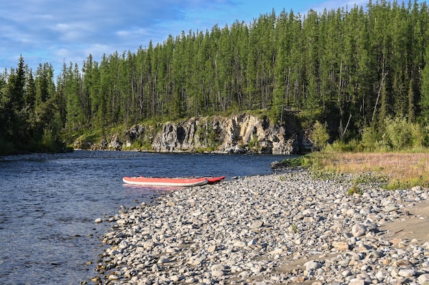 The taiga river of the Polar Urals