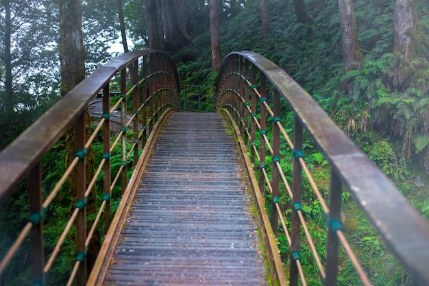 Taipingshan Jianqing Old Road, Yilan County, Taiwan, the bridge crossing the stream on the trail