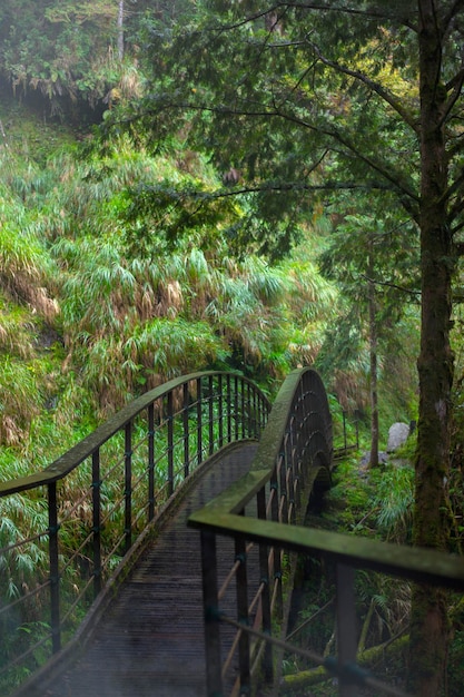 Taipingshan Jianqing Old Road, Yilan County, Taiwan, the bridge crossing the stream on the trail