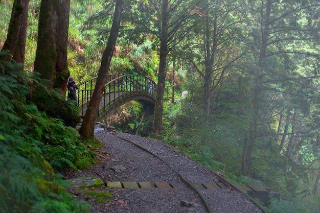 Taipingshan Jianqing Old Road, Yilan County, Taiwan, the bridge crossing the stream on the trail