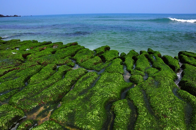 Taiwan North Coast famous attractions Shimen Laomei Green Stone Slot