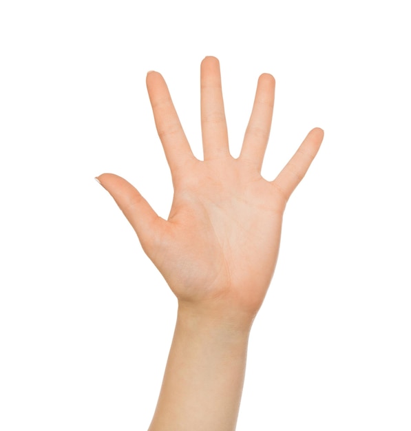 Take five. Hand gesture - outstretched open palm on white isolated background, copy space, close-up