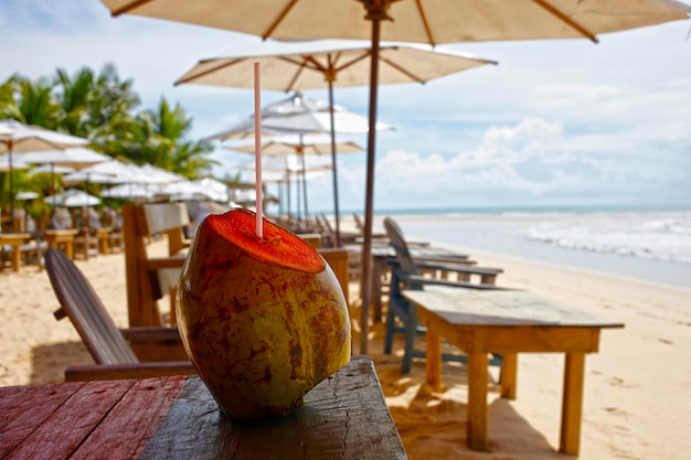 Photo taking green coconut on the beachside in porto seguro, trancoso, brazil