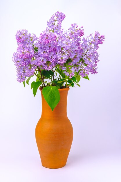 A tall brown earthenware vase with a bouquet of blooming lilacs and green leaves stands on a table casting a soft shadow