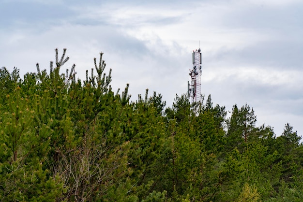 A tall communication tower rises above a dense pine forest under a cloudy sky representing the