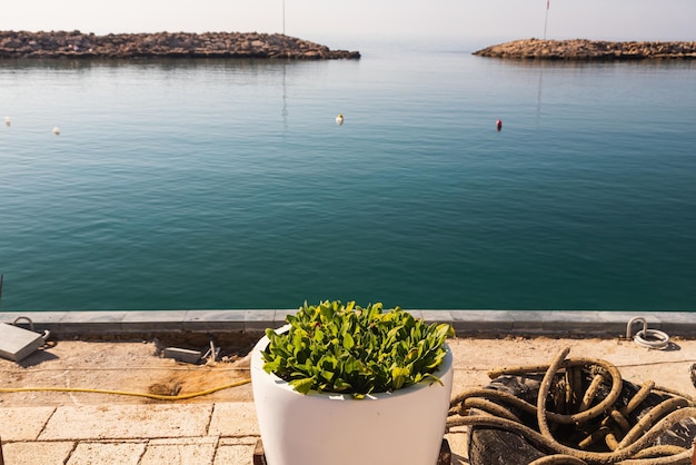 Tall flower pots stand on the pier against the background of the blue sea against the sky at the resort