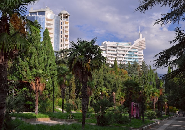 tall houses in the seaside park of yalta behind green trees in autumn subtropical vegetation