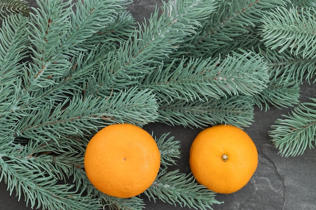 Tangerines among the branches of pine and cones New Year39s entourage