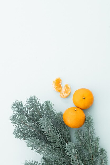 Tangerines pines and pine branches on white background Christmas card concept