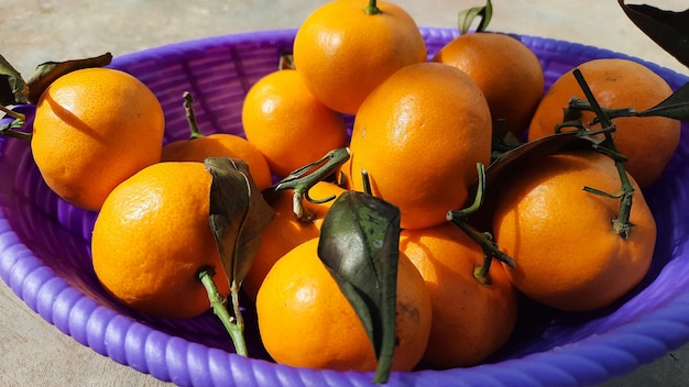 Tangerines in purple basket for chinese new year celebration